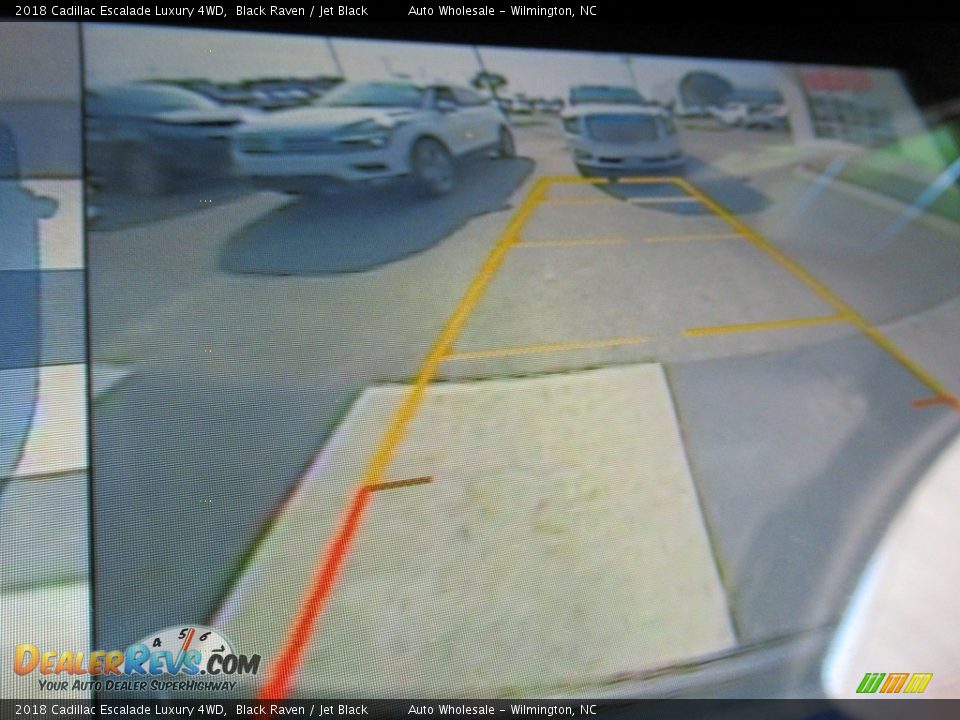 2018 Cadillac Escalade Luxury 4WD Black Raven / Jet Black Photo #19