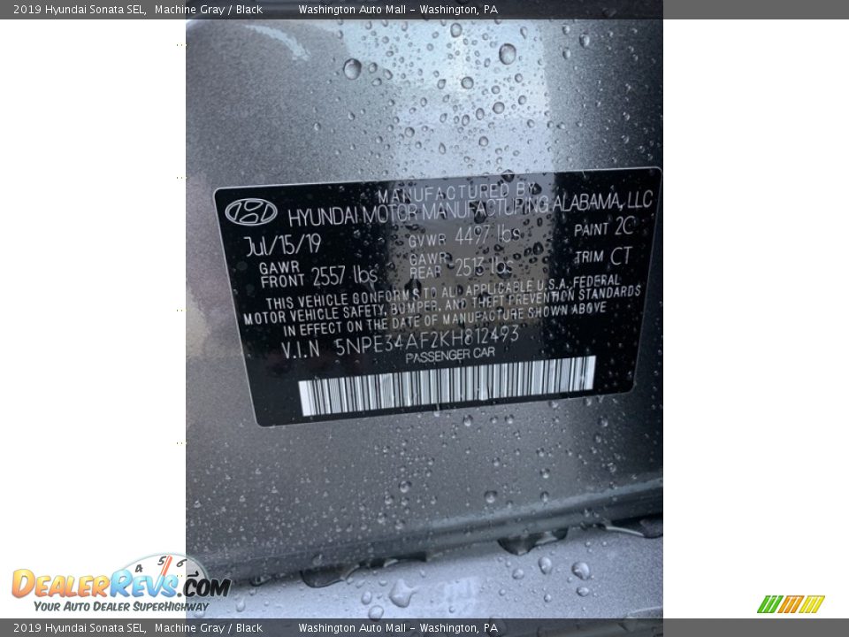 2019 Hyundai Sonata SEL Machine Gray / Black Photo #10