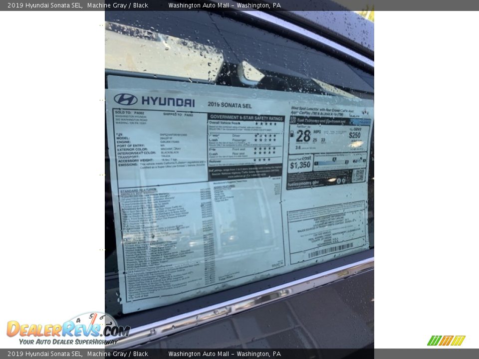 2019 Hyundai Sonata SEL Machine Gray / Black Photo #16