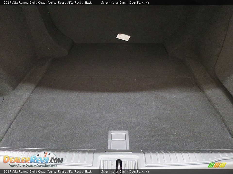 2017 Alfa Romeo Giulia Quadrifoglio Rosso Alfa (Red) / Black Photo #27