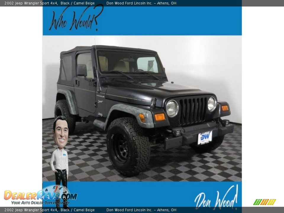 2002 Jeep Wrangler Sport 4x4 Black / Camel Beige Photo #1