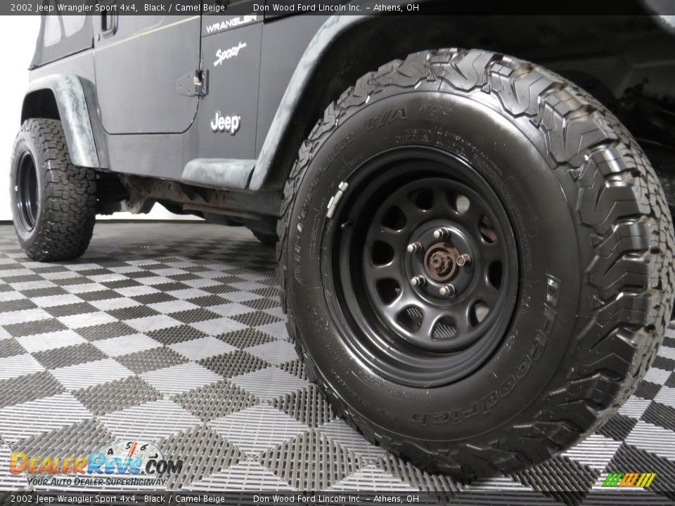 2002 Jeep Wrangler Sport 4x4 Black / Camel Beige Photo #3