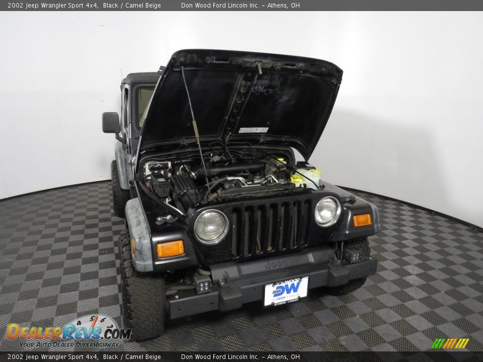 2002 Jeep Wrangler Sport 4x4 Black / Camel Beige Photo #5