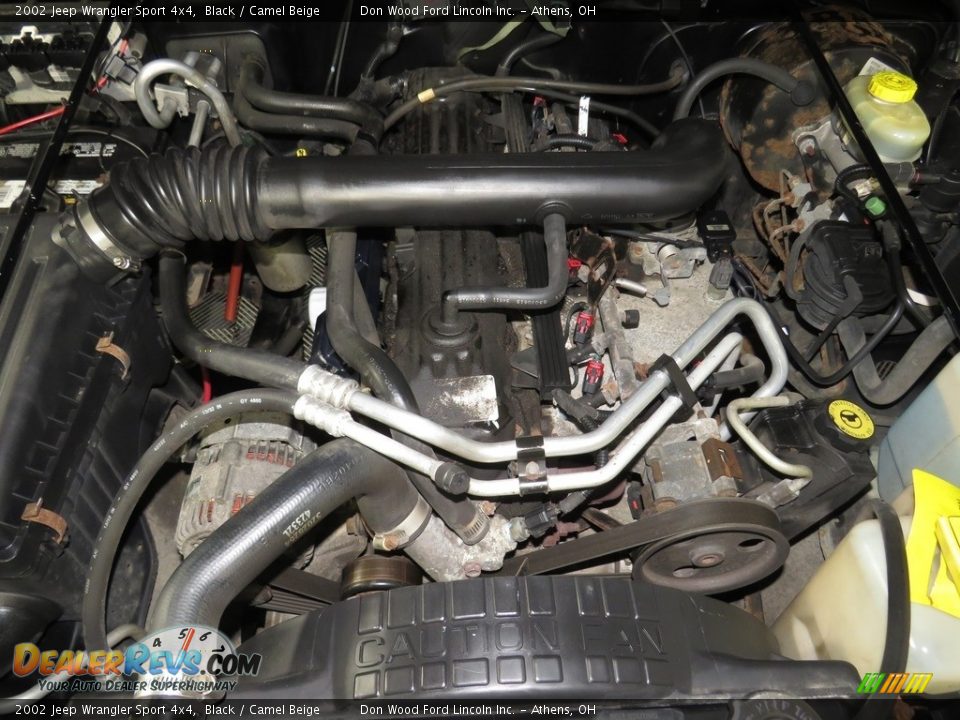 2002 Jeep Wrangler Sport 4x4 Black / Camel Beige Photo #6