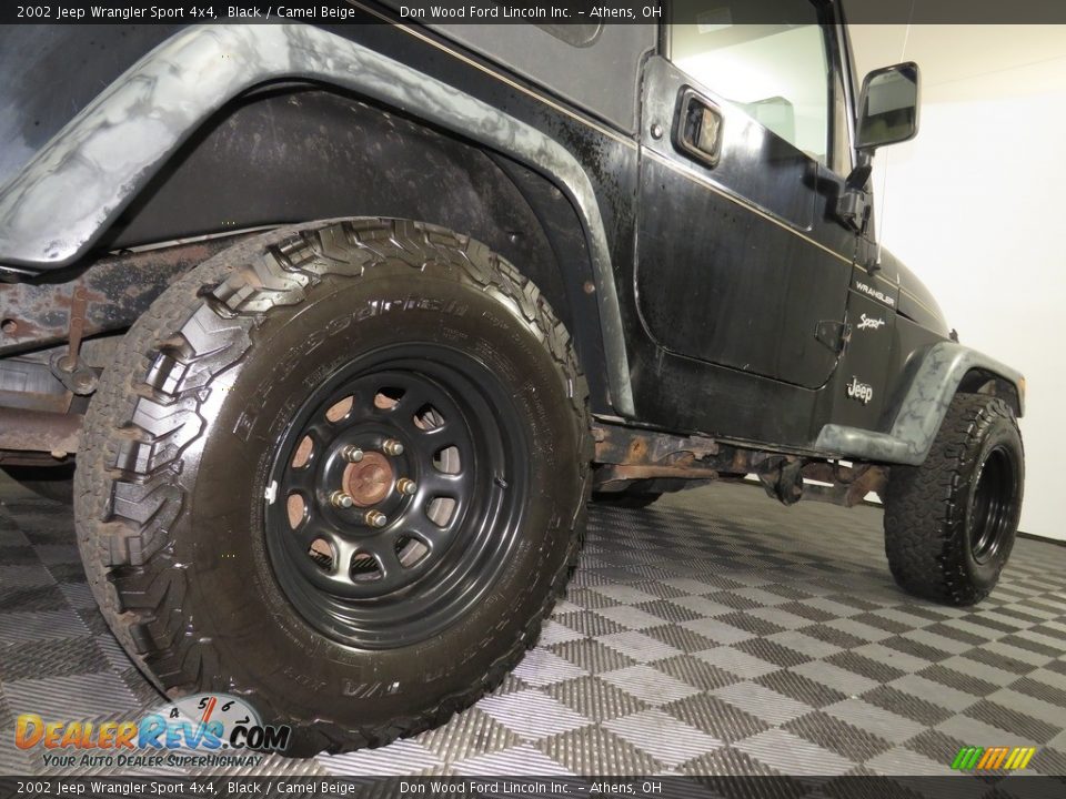 2002 Jeep Wrangler Sport 4x4 Black / Camel Beige Photo #15