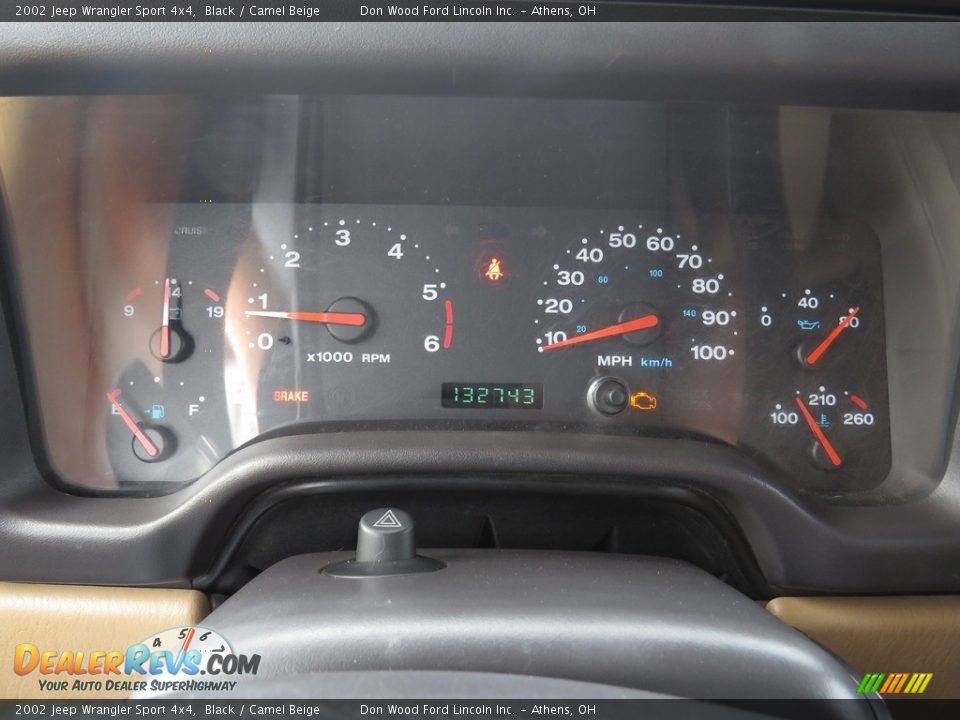 2002 Jeep Wrangler Sport 4x4 Black / Camel Beige Photo #23