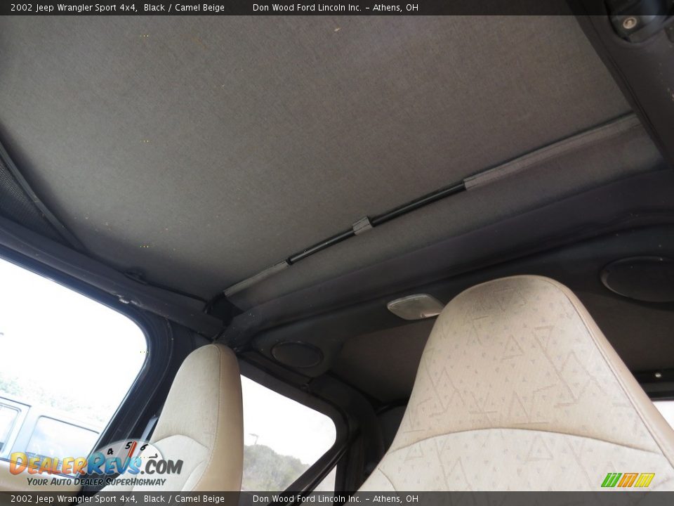 2002 Jeep Wrangler Sport 4x4 Black / Camel Beige Photo #31