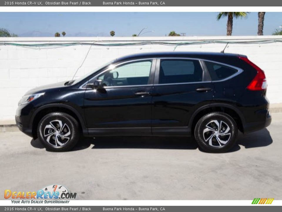 2016 Honda CR-V LX Obsidian Blue Pearl / Black Photo #10