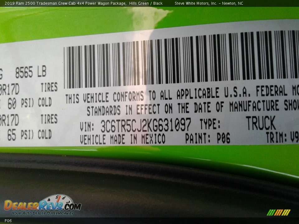 Ram Color Code P06 Hills Green