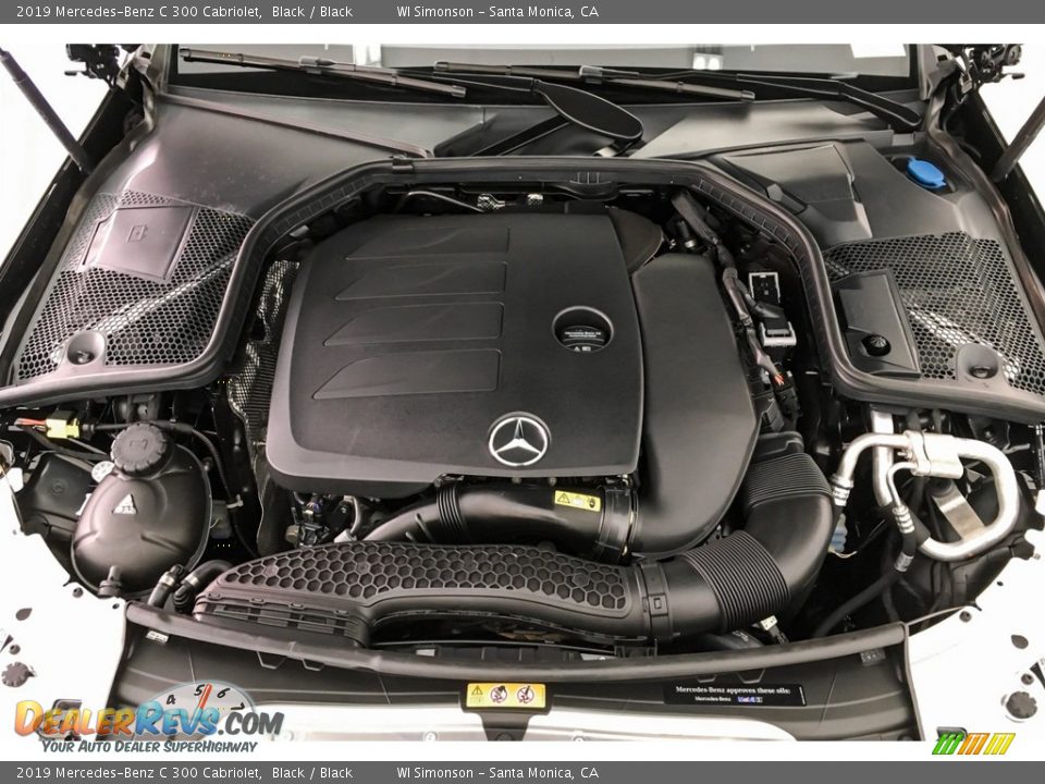 2019 Mercedes-Benz C 300 Cabriolet Black / Black Photo #8