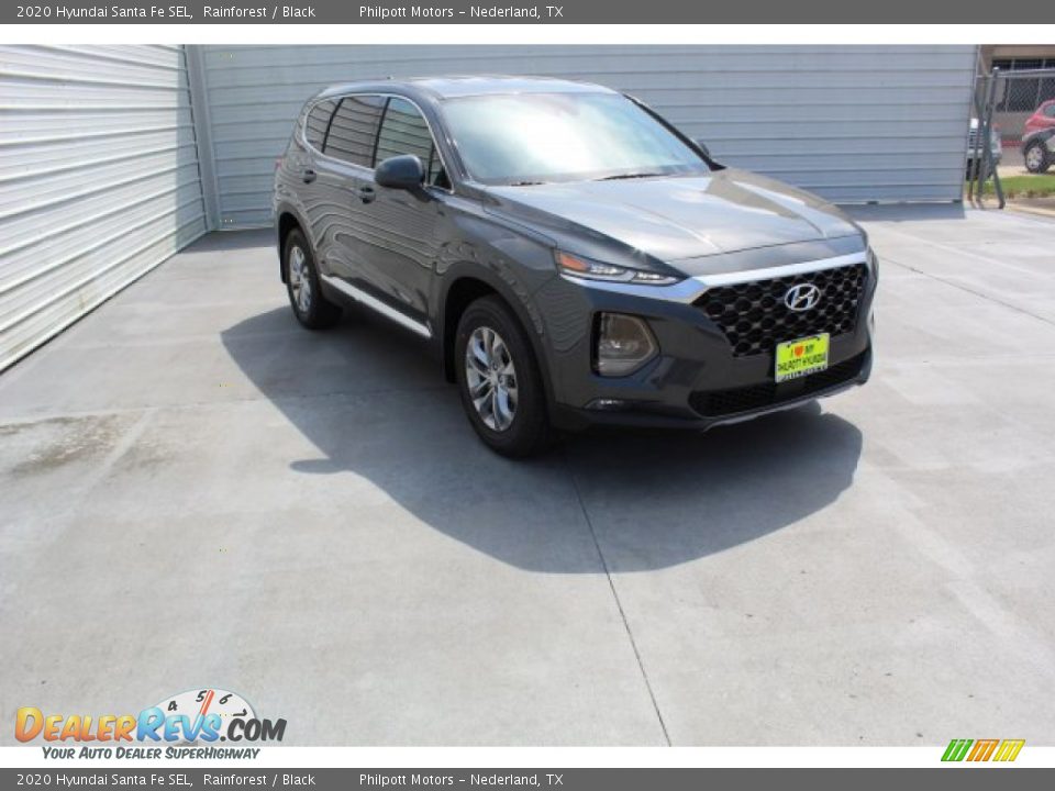 2020 Hyundai Santa Fe SEL Rainforest / Black Photo #2