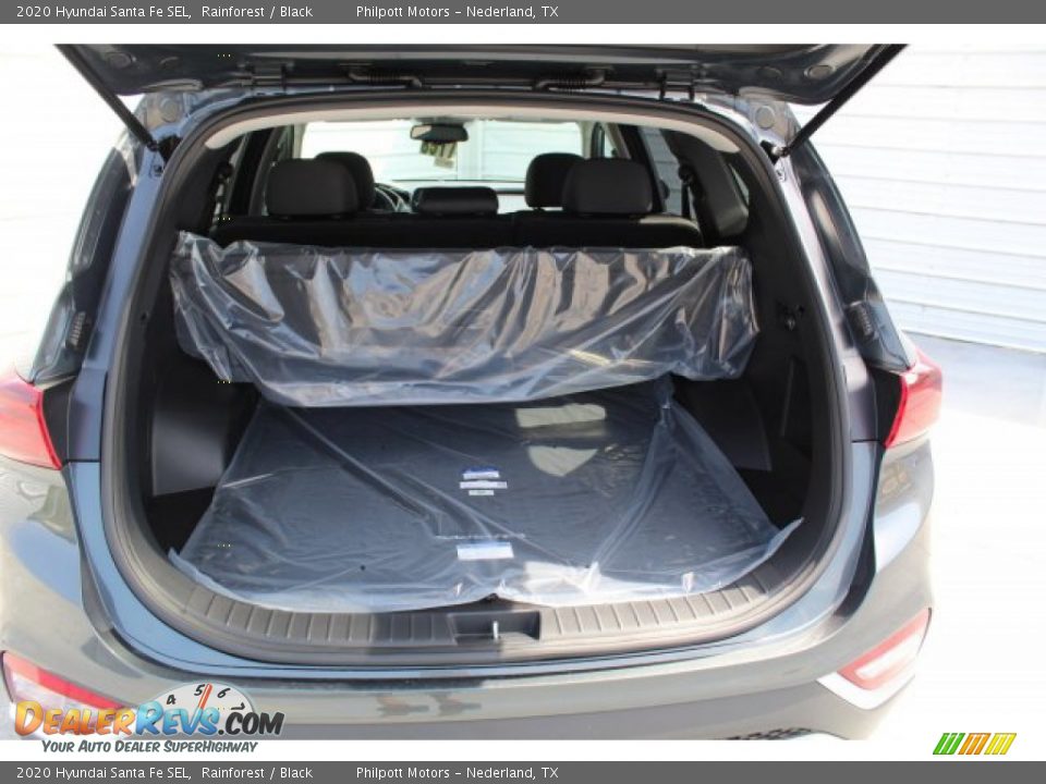 2020 Hyundai Santa Fe SEL Rainforest / Black Photo #21