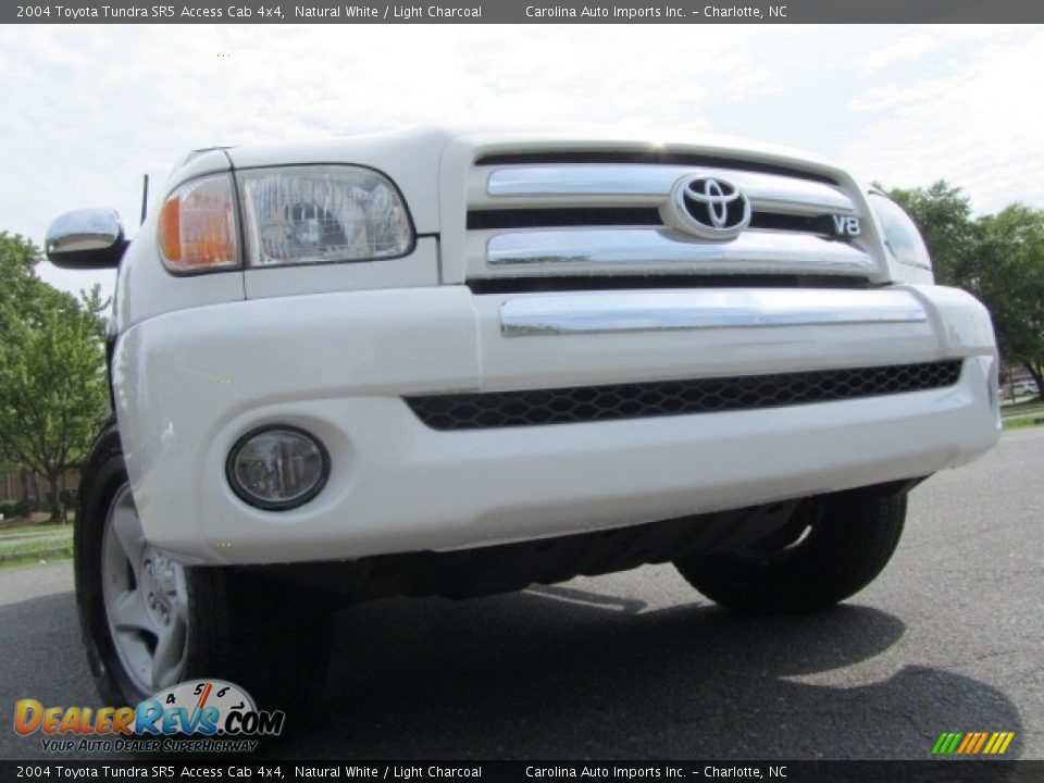 2004 Toyota Tundra SR5 Access Cab 4x4 Natural White / Light Charcoal Photo #1