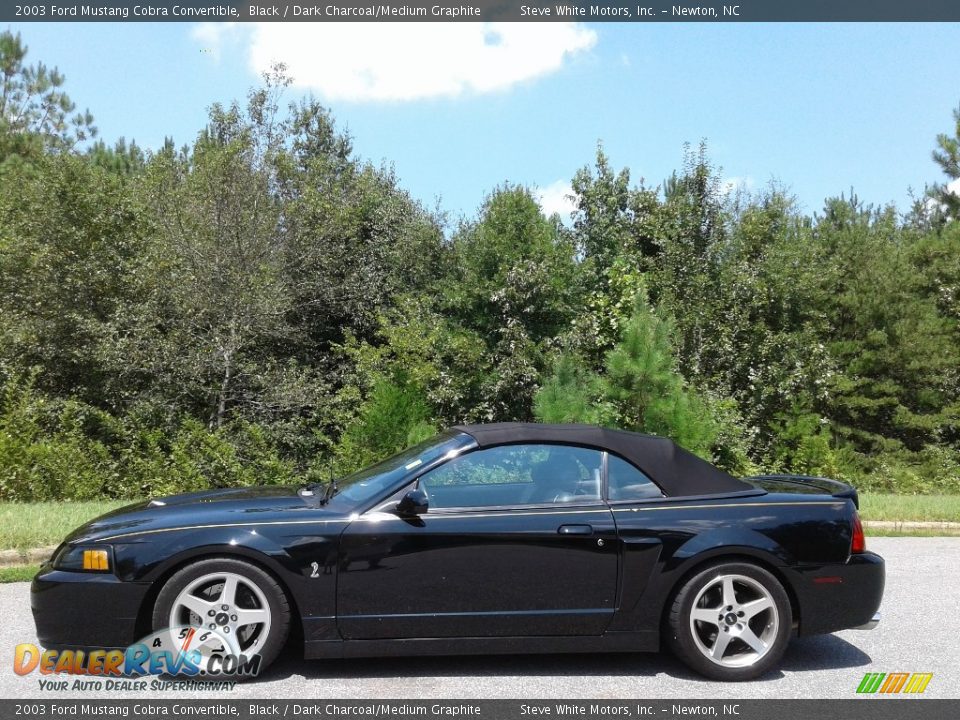 Black 2003 Ford Mustang Cobra Convertible Photo #1