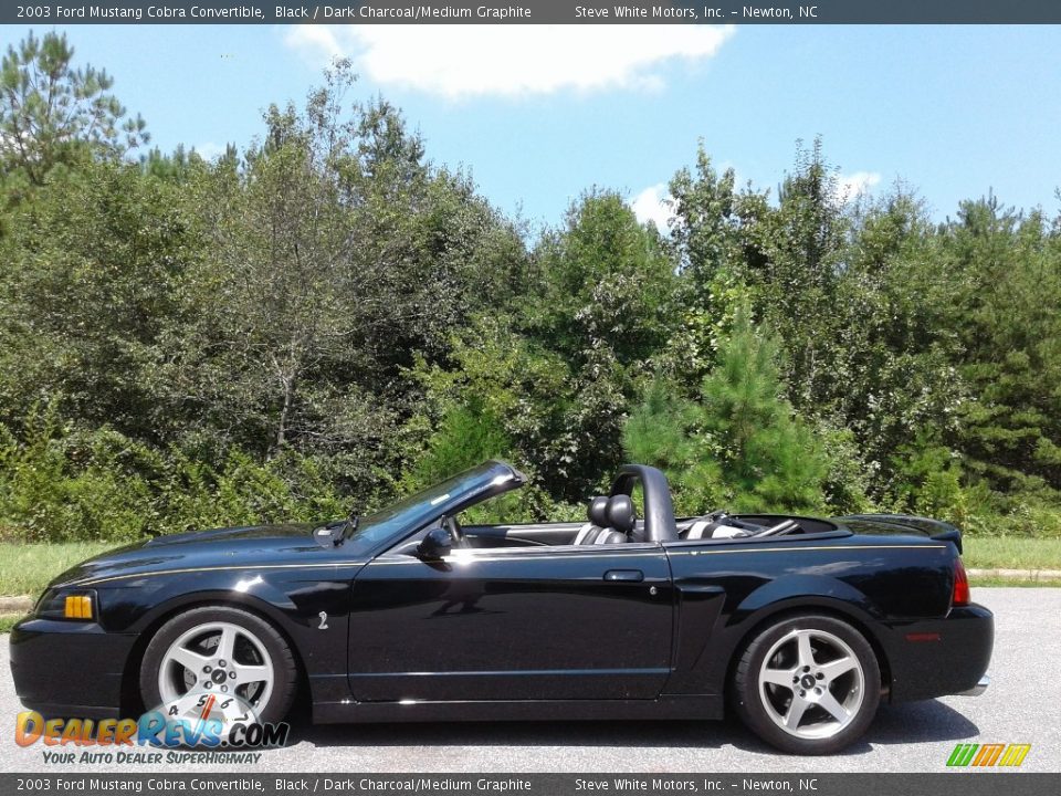 Black 2003 Ford Mustang Cobra Convertible Photo #2