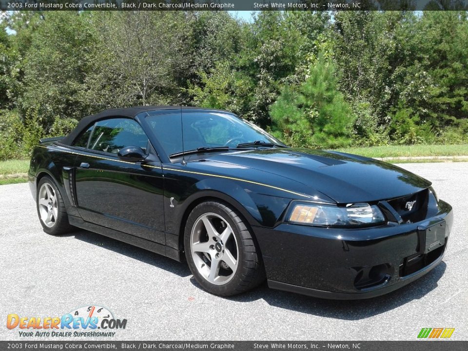 Black 2003 Ford Mustang Cobra Convertible Photo #5