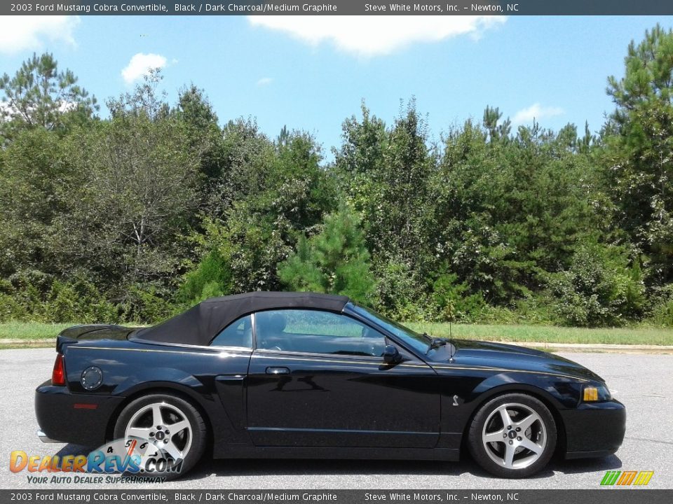 2003 Ford Mustang Cobra Convertible Black / Dark Charcoal/Medium Graphite Photo #6