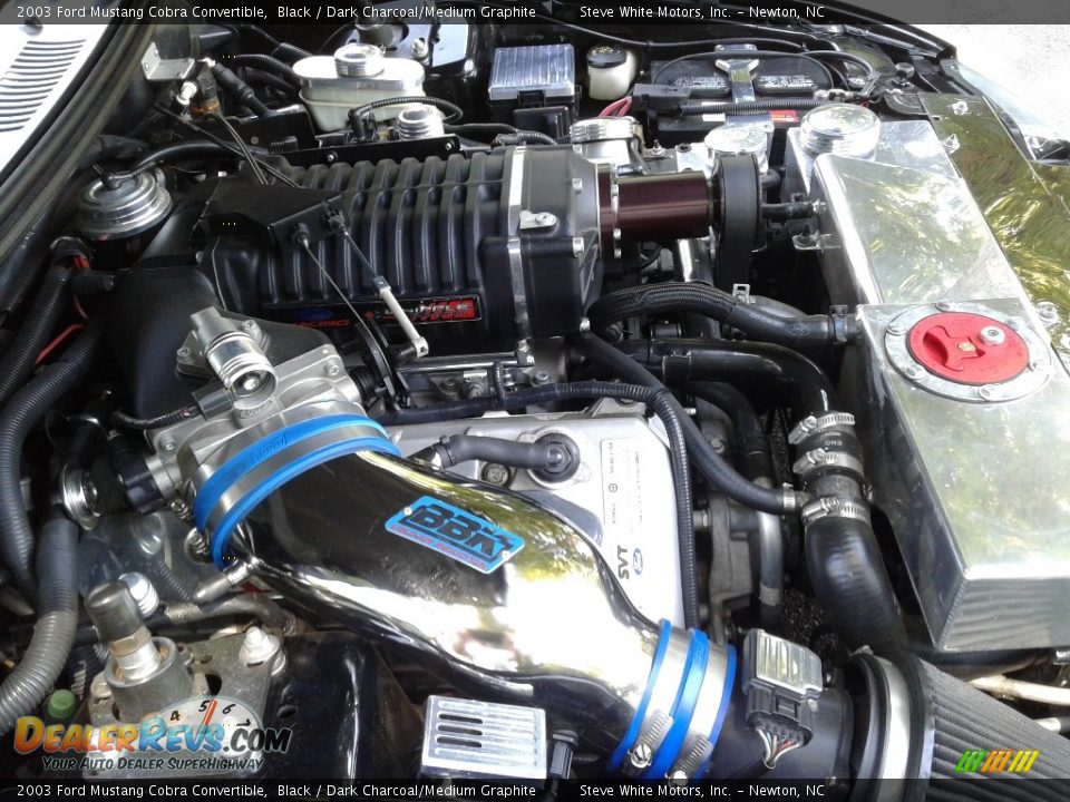 2003 Ford Mustang Cobra Convertible Black / Dark Charcoal/Medium Graphite Photo #29