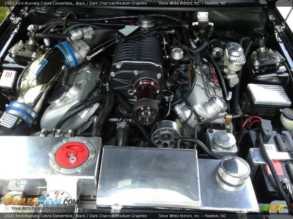 2003 Ford Mustang Cobra Convertible Black / Dark Charcoal/Medium Graphite Photo #30