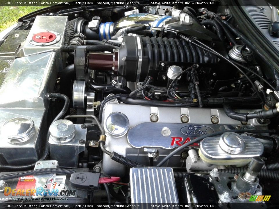 2003 Ford Mustang Cobra Convertible Black / Dark Charcoal/Medium Graphite Photo #31