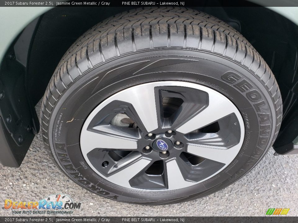 2017 Subaru Forester 2.5i Jasmine Green Metallic / Gray Photo #9