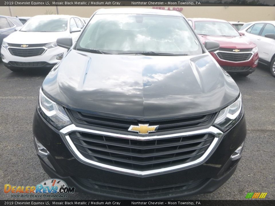 2019 Chevrolet Equinox LS Mosaic Black Metallic / Medium Ash Gray Photo #8