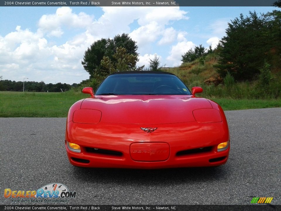 2004 Chevrolet Corvette Convertible Torch Red / Black Photo #4