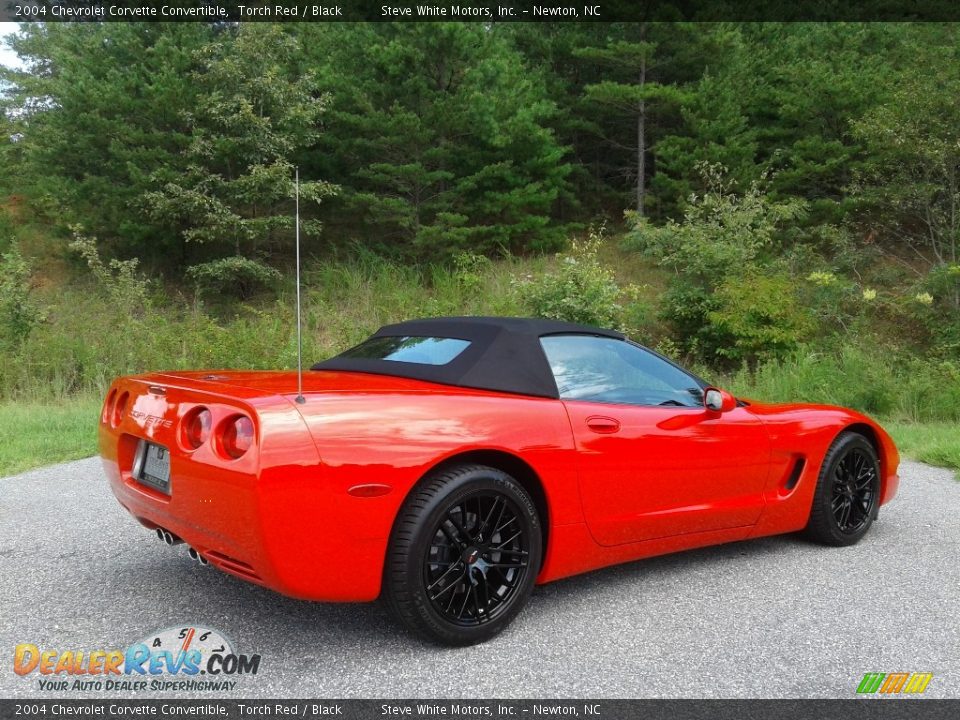 2004 Chevrolet Corvette Convertible Torch Red / Black Photo #7