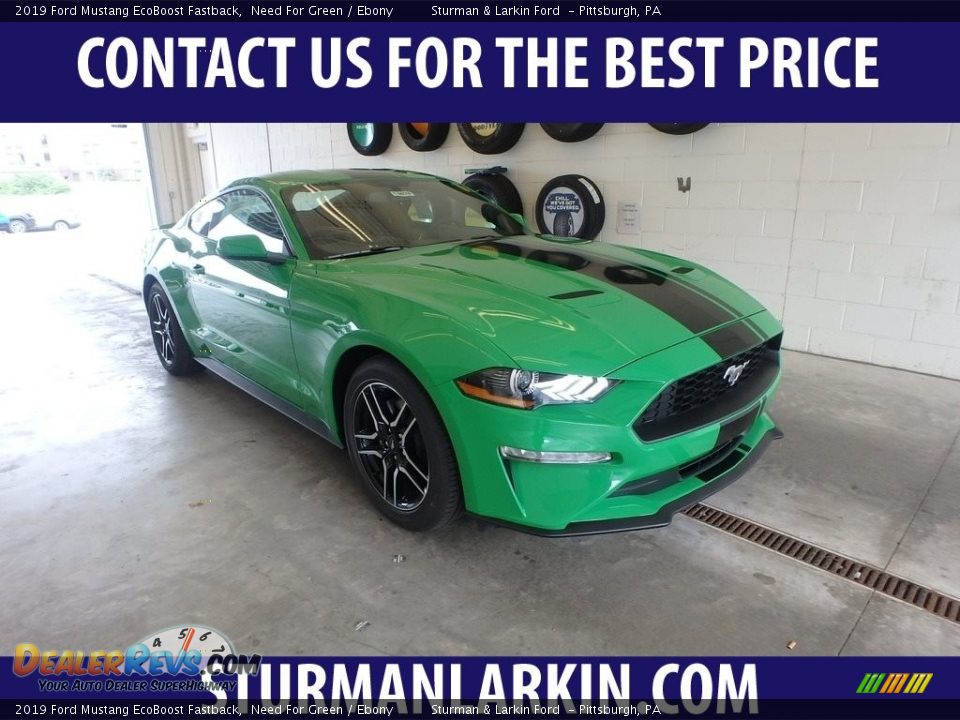 2019 Ford Mustang EcoBoost Fastback Need For Green / Ebony Photo #1