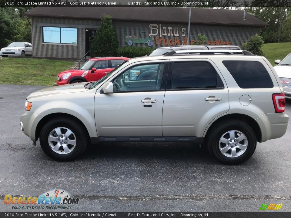 2010 Ford Escape Limited V6 4WD Gold Leaf Metallic / Camel Photo #1