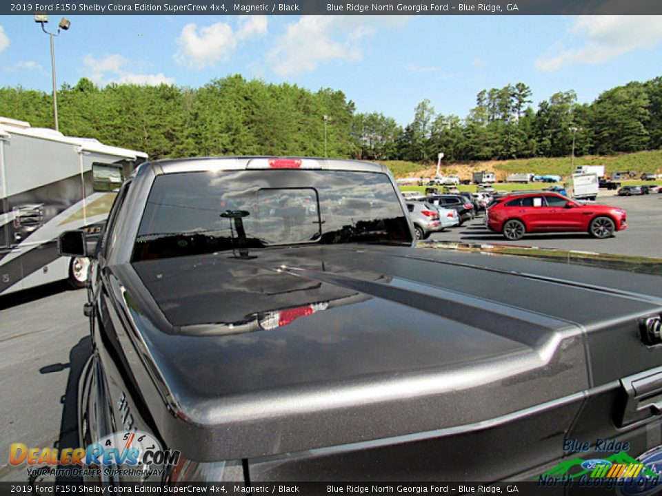 2019 Ford F150 Shelby Cobra Edition SuperCrew 4x4 Magnetic / Black Photo #17