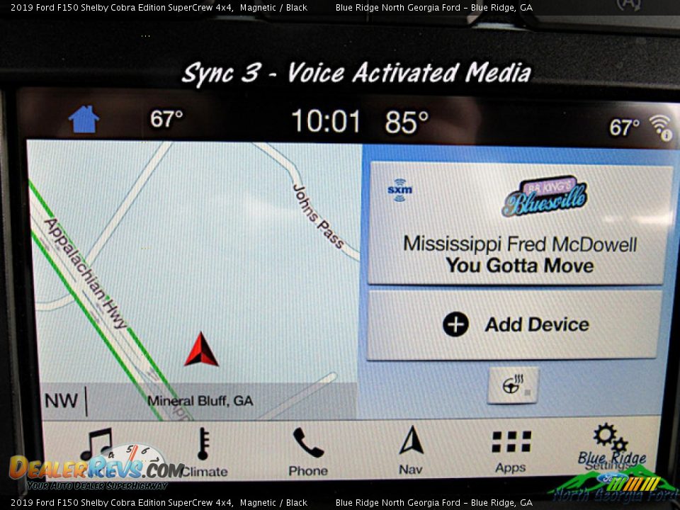 2019 Ford F150 Shelby Cobra Edition SuperCrew 4x4 Magnetic / Black Photo #24