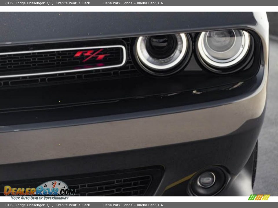 2019 Dodge Challenger R/T Granite Pearl / Black Photo #9