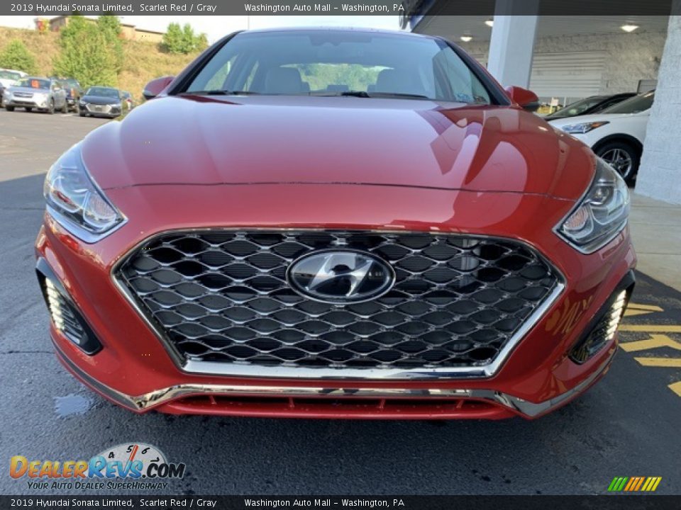 2019 Hyundai Sonata Limited Scarlet Red / Gray Photo #8