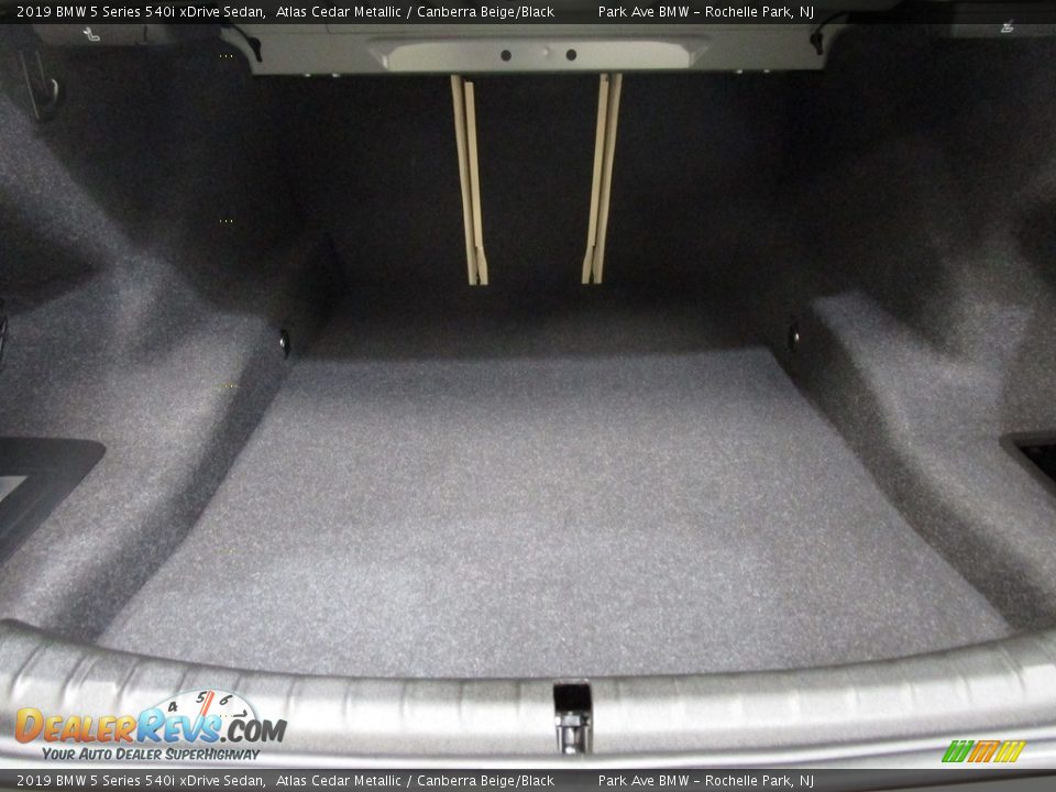 2019 BMW 5 Series 540i xDrive Sedan Atlas Cedar Metallic / Canberra Beige/Black Photo #20