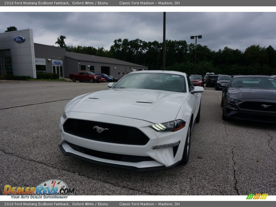 2019 Ford Mustang EcoBoost Fastback Oxford White / Ebony Photo #2