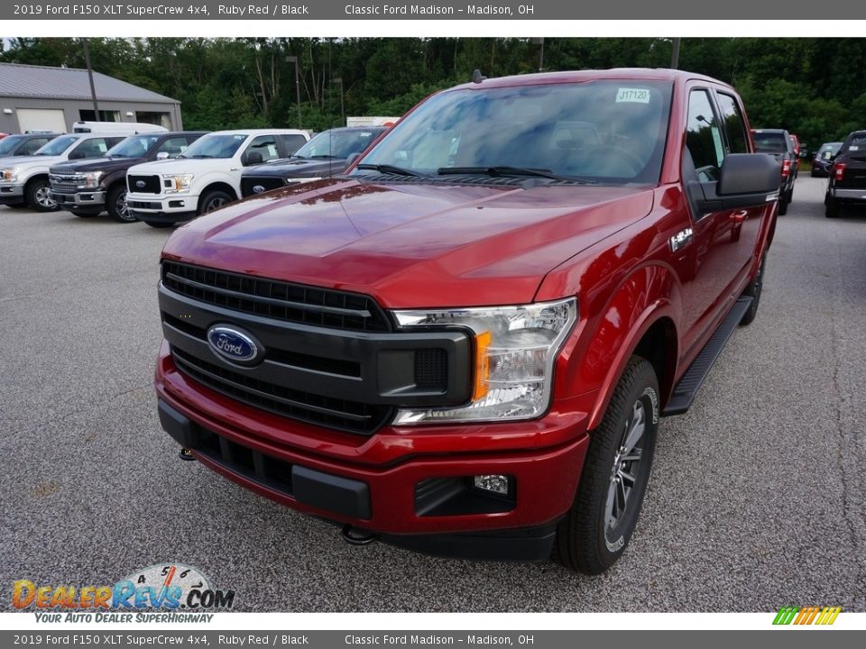 2019 Ford F150 XLT SuperCrew 4x4 Ruby Red / Black Photo #1