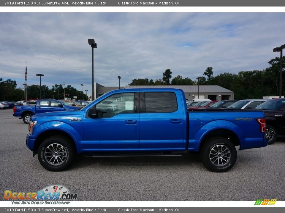 2019 Ford F150 XLT SuperCrew 4x4 Velocity Blue / Black Photo #2