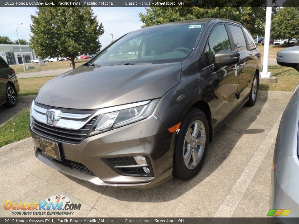 2019 Honda Odyssey EX-L Pacific Pewter Metallic / Mocha Photo #1