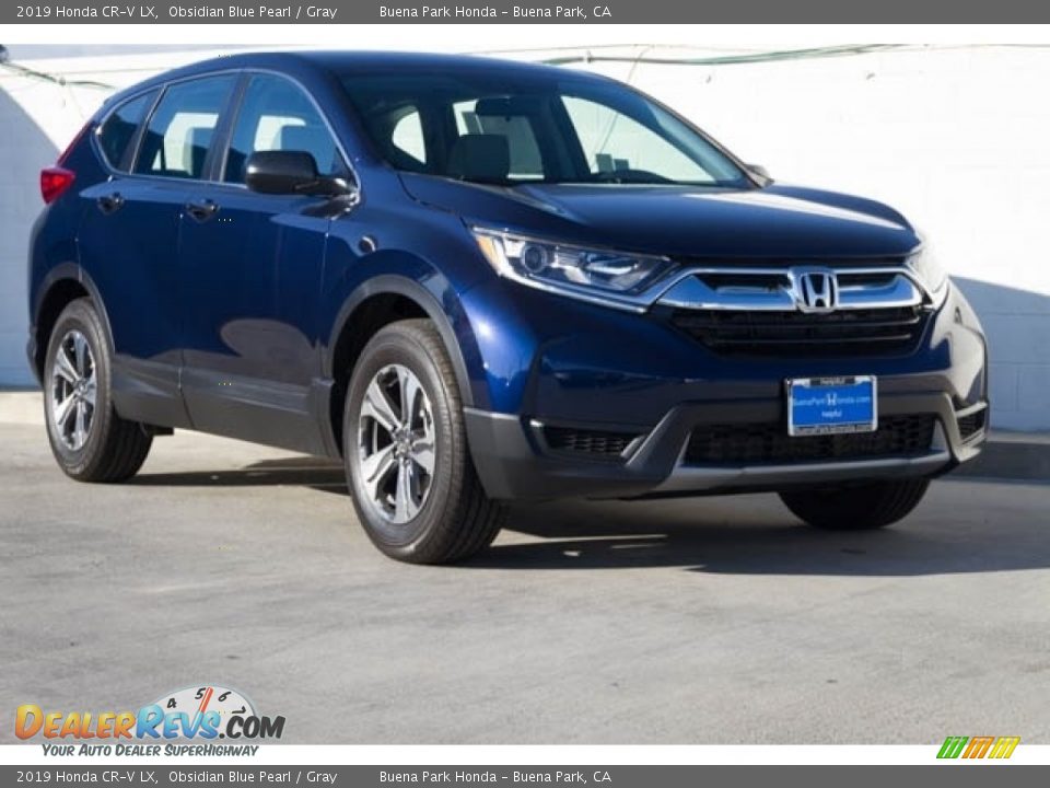 2019 Honda CR-V LX Obsidian Blue Pearl / Gray Photo #1