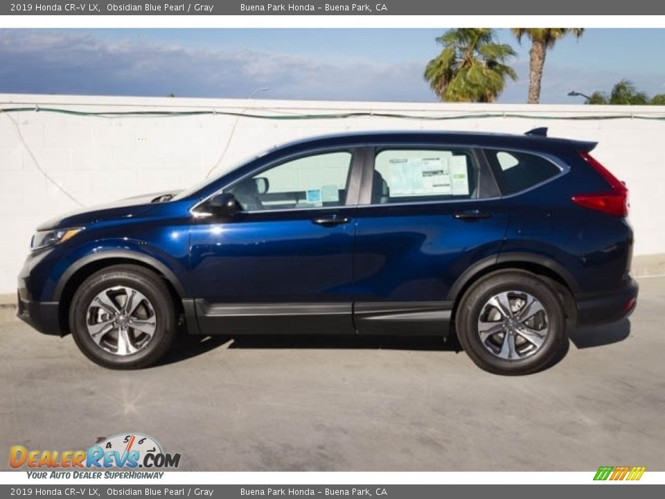 2019 Honda CR-V LX Obsidian Blue Pearl / Gray Photo #5