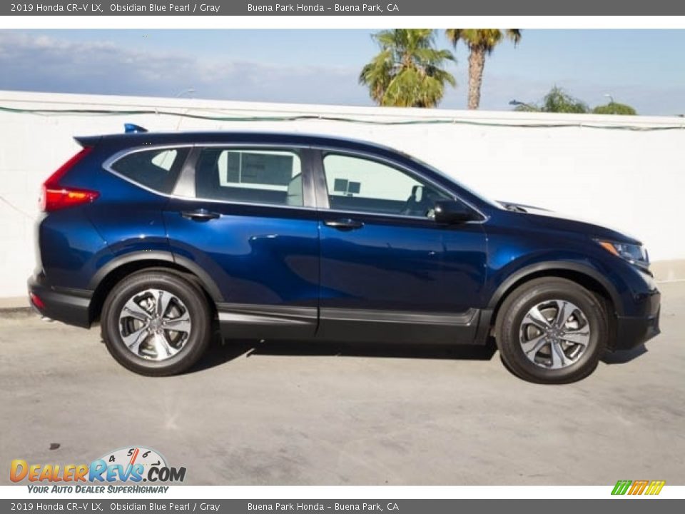 2019 Honda CR-V LX Obsidian Blue Pearl / Gray Photo #9