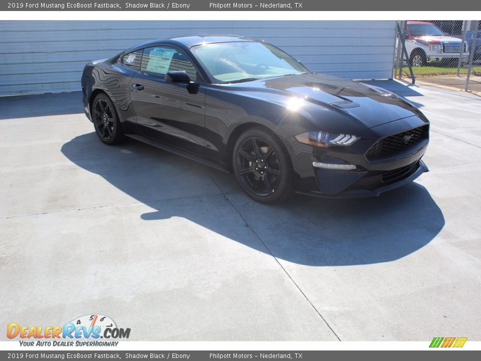 2019 Ford Mustang EcoBoost Fastback Shadow Black / Ebony Photo #2