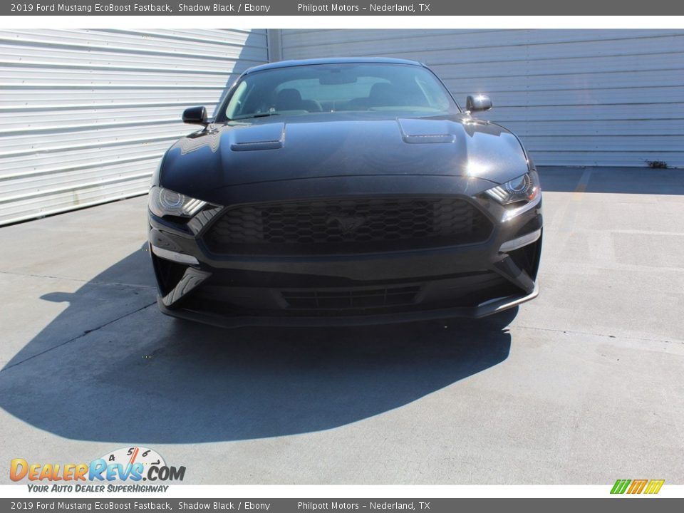 2019 Ford Mustang EcoBoost Fastback Shadow Black / Ebony Photo #3