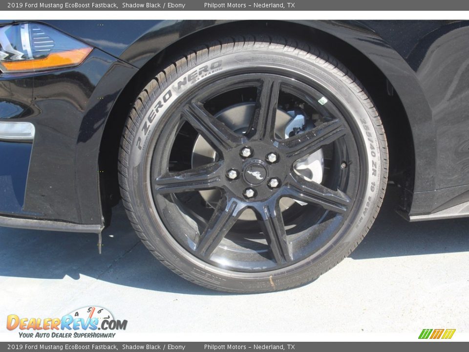 2019 Ford Mustang EcoBoost Fastback Shadow Black / Ebony Photo #5