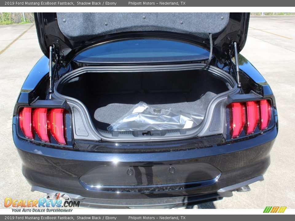 2019 Ford Mustang EcoBoost Fastback Shadow Black / Ebony Photo #19