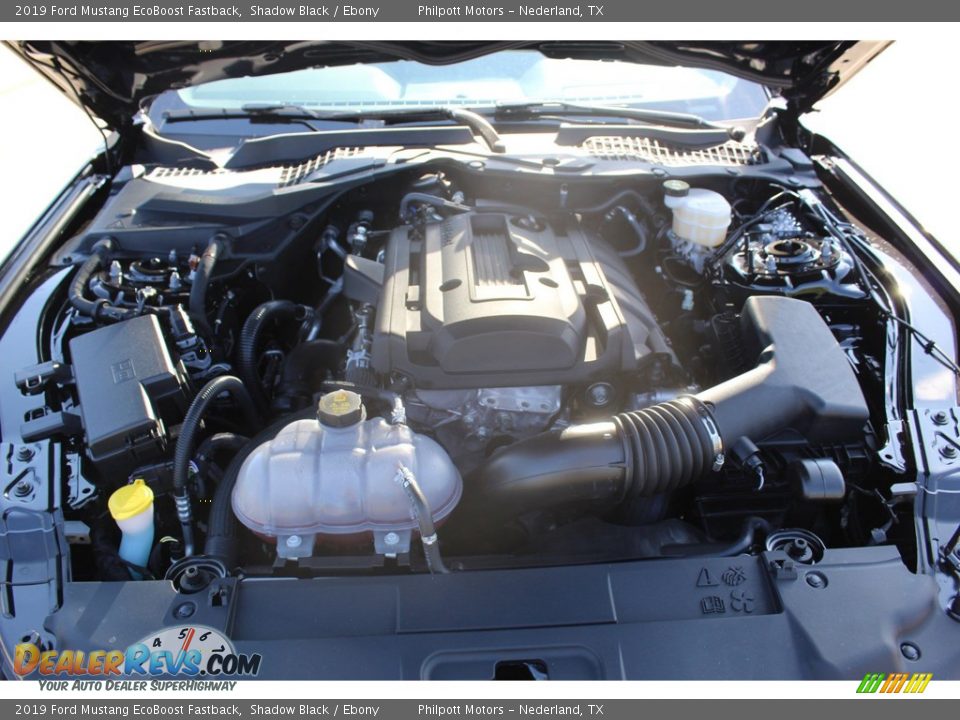 2019 Ford Mustang EcoBoost Fastback Shadow Black / Ebony Photo #20