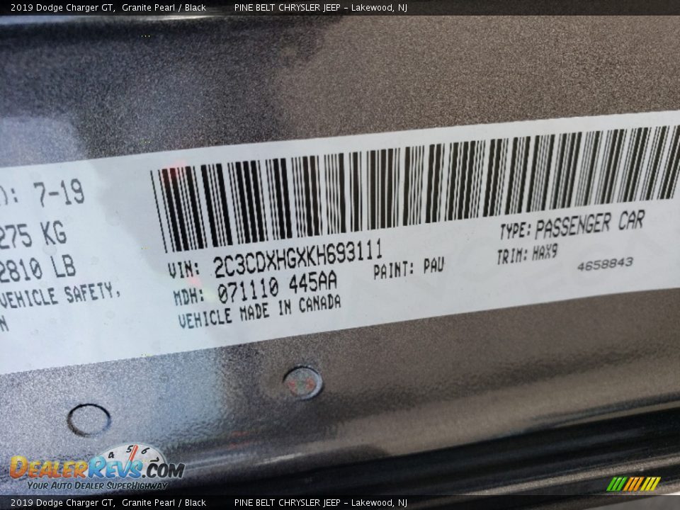 2019 Dodge Charger GT Granite Pearl / Black Photo #9