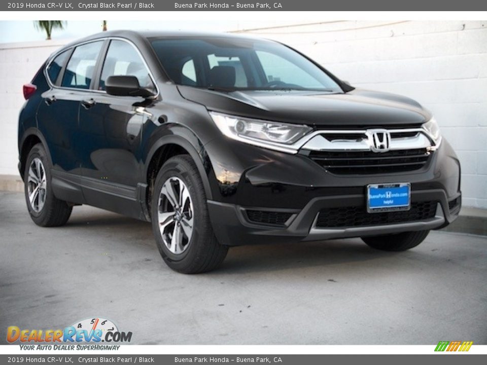 2019 Honda CR-V LX Crystal Black Pearl / Black Photo #1