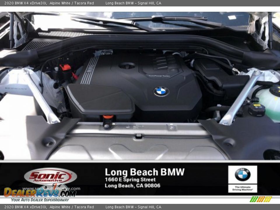 2020 BMW X4 xDrive30i Alpine White / Tacora Red Photo #8